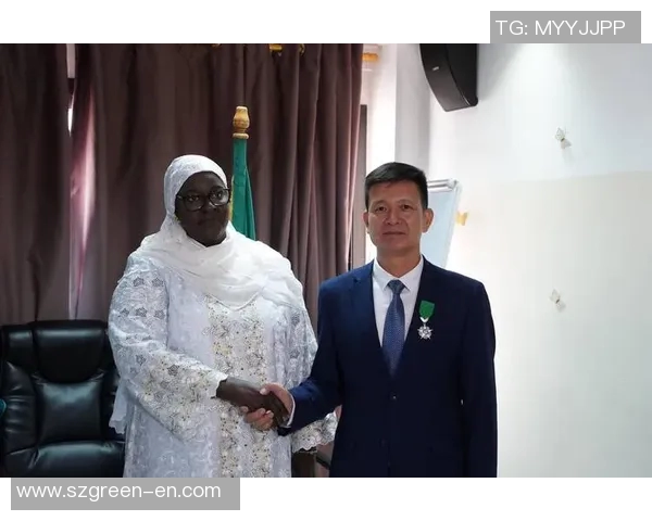 塞内加尔足球明星及其在国际赛场的卓越表现和影响力